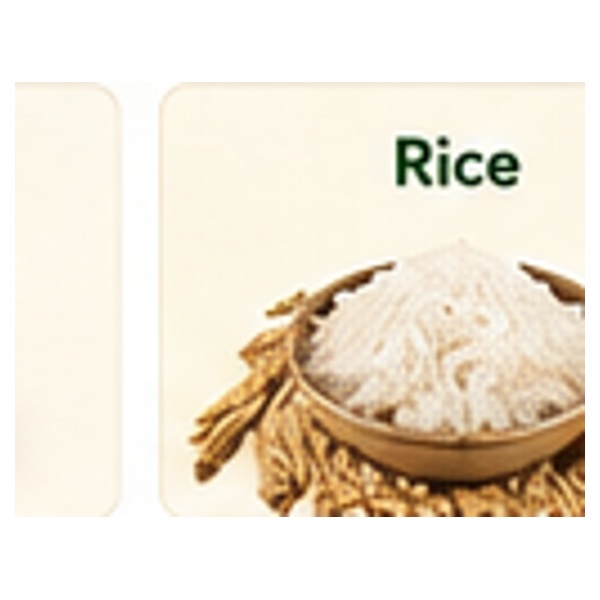 rice